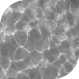 Squalane